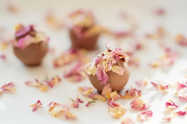 Andromeda Kasyno Aplikacja Android/iOS